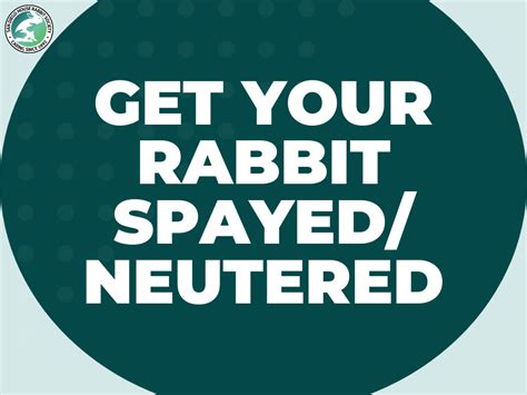 get your rabbit spayed neutered — san diego house rabbit society