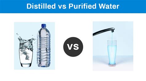 distilled water vs purified water what s difference