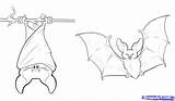 Bat Coloring Pages Flying Drawing Fox Bats Halloween Printable Dragoart Animal Sheets Step Fruit sketch template