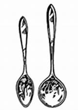 Cuchara Spoon Lepel Cucchiaio Disegno Colorare Cucharas Soup Clipartmag Educolor sketch template