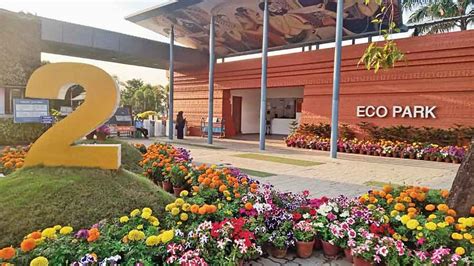 reopening safely  town eco park reopens   footfall telegraph india