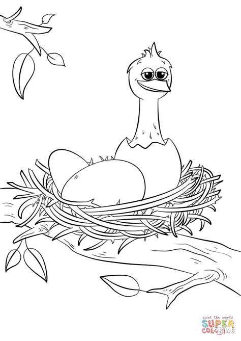 gambar bird nest coloring page  printable pages click birds