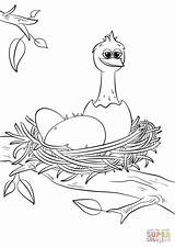 Coloring Nest Pages Bird Birds Printable Chick Newly Hatched Cute Template Drawing Eggs sketch template