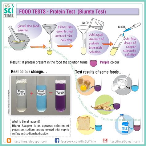 scitime protein test biuret test