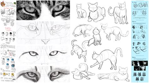 adorable tutorials    draw  cat    draw journey
