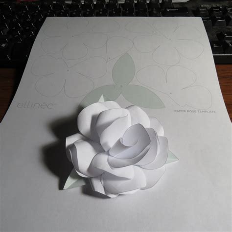 attempt  ellinee paper rose love making  fai da te