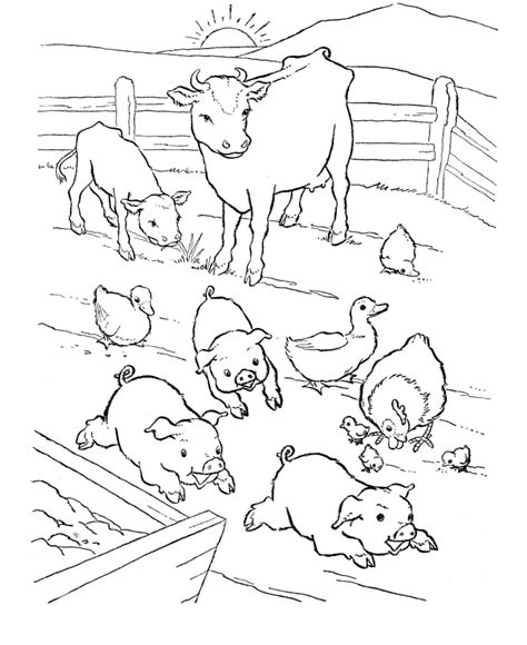 baby farm animals coloring pages coloring home