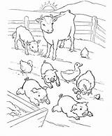 Coloring Farm Animals Pages Baby Popular sketch template