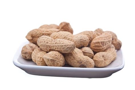 peanuts stock image image  brown small open image