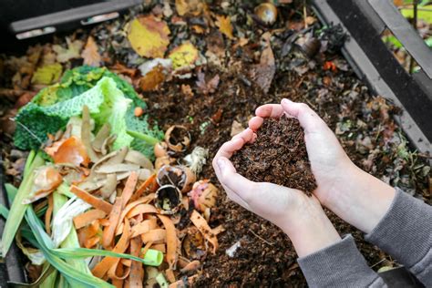 kompost im garten warum jeder einen haben sollte plantura