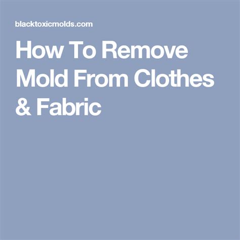 remove mold  clothes fabric mold remover remove mold