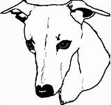 Whippet Drawing Greyhound Line Clip Clipartmag Clipart Awesome Weclipart sketch template