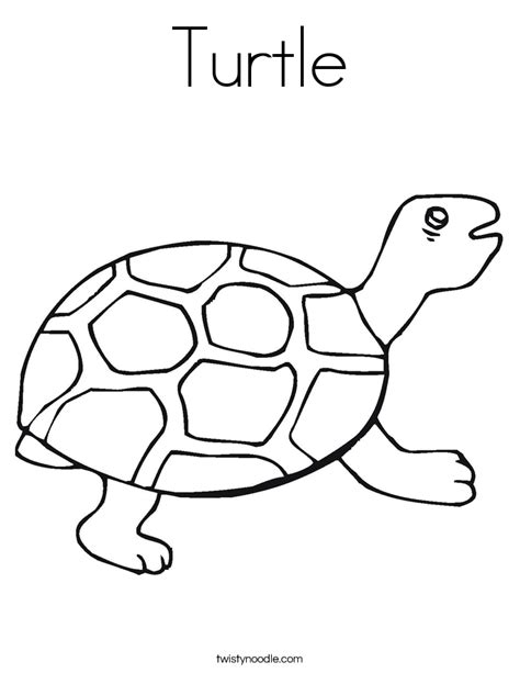 turtle coloring  turtle coloring