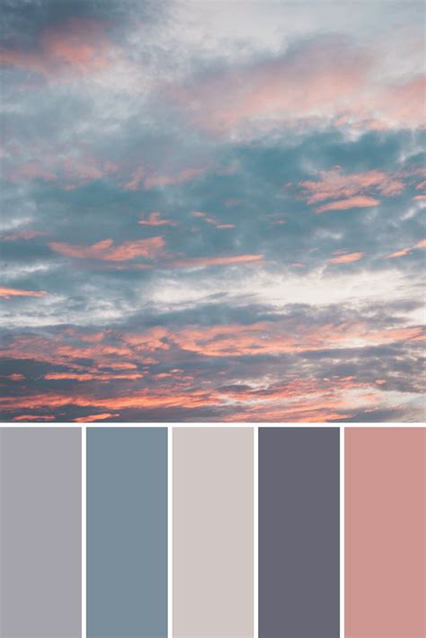aesthetic color palette offeo