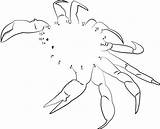 Crab Dots Brachyura Crabe Relier Printmania Puntini Unisci sketch template