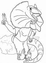 Eidechse Lizard Ausmalbild Letzte Kostenlos Anole sketch template
