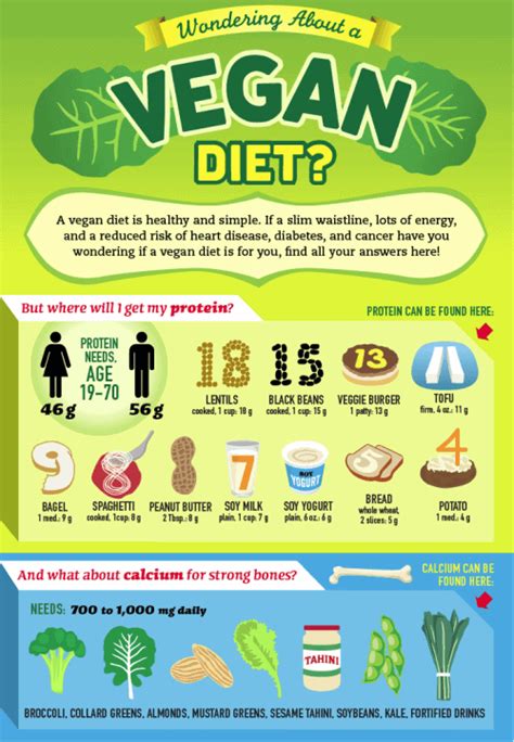vegan diet detailed guide for beginners update 2023 17 things