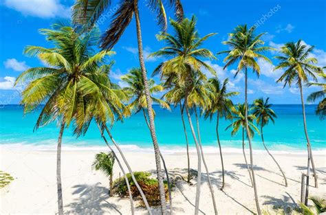 Vistas Panorámicas De La Playa Paradisíaca De La Isla De Barbados