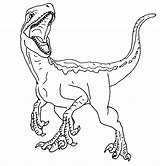 Jurassic Velociraptor Colorear Dinosaur Raptor Dinosaurios Indoraptor Dinosaurio Owen Dibujos Mosasaurus Colorare Dinossauro Ausmalen Disegni Coloringhome Indominus Buhos Spinosaurio Kinderfarben sketch template