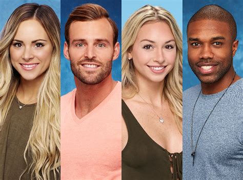 bachelor in paradise season 4 cast revealed find out who will be