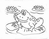 Frog Coloring Pages Frogs Kids Leap Drawing Toad Color Printable Print Theme Quality Getcolorings Getdrawings sketch template