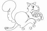 Esquilo Pintar Ardilla Nueces Esquilos Ardillas Muchas Alvin Comiendo Animais sketch template