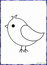 Bird Coloring Pages Baby Cute Template Big Printable Outline Printables Vogel Clipartmag Drawing Fat Drawings Applique Visit sketch template