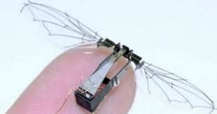 conservablogger tech  micro mosquito drones  spy
