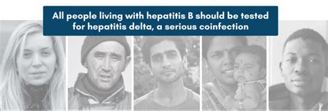 welcome to hepatitis delta connect hepatitis b foundation