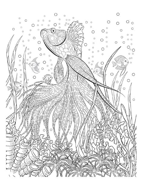 underwater coloring page image coloring page adult coloring home