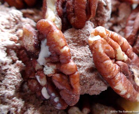 17 Facts About Pecans And That’s Really Why I Ate It
