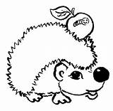 Hedgehog Coloring Pages Color Printable Animals Bojanka Sheet Animal Print Back sketch template