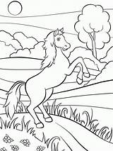 Pferde Abpausen Pferd Ausmalbild Ausmalen Wiese Kinderbilder Beliebte Ganzes Malvorlage sketch template