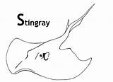 Stingray Sea Stingrays Mantarrayas sketch template