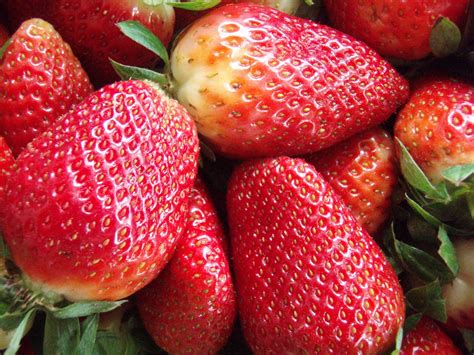 fresas strawberry fruit food