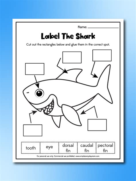 shark worksheets  kindergarten printable kindergarten worksheets