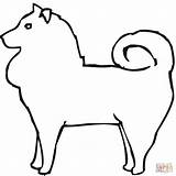 Coloring Pomeranian Ausmalbild Zwergspitz Supercoloring Hunde Jiffpom Kategorien sketch template