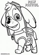 Patrouille Skye Colouring Pawpatrol Anniversaire Everfreecoloring Idees sketch template