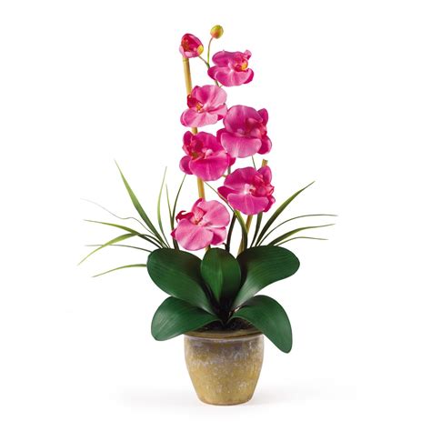 Single Stem Phalaenopsis Orchid Silk Flower Arrangement Dark Pink