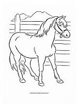 Farm Activities Coloring Pages Animal Printable Preschool Horse Kids sketch template