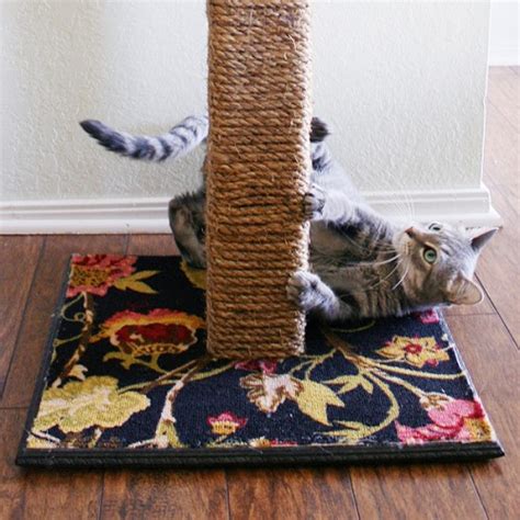 11 Cool Diy Cat Scratchers To Spoil Your Kitty Shelterness