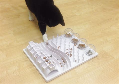 Diy Food Puzzles For Cats Modern Cat