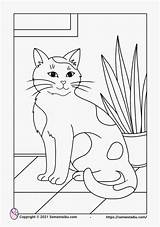 Mewarnai Gambar Hewan Kucing Coloring Anak Ibu sketch template