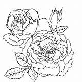 Floral Botany sketch template