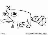 Ferb Phineas Platypus Coloringhome sketch template