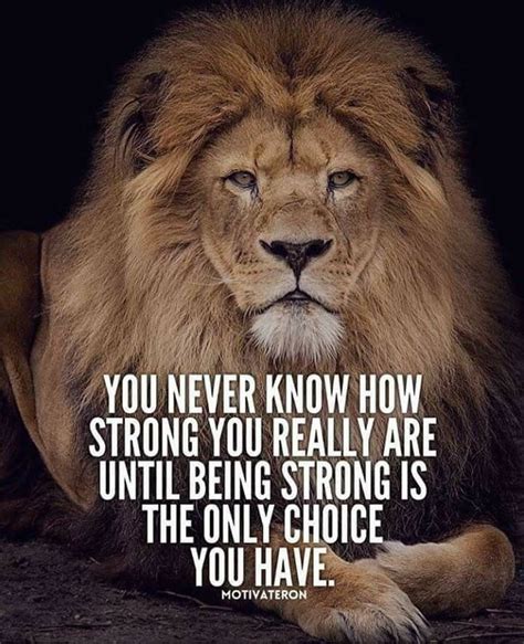 Pin By Cheyenne Michael Moraga On Leo Pix Lion Quotes Warrior Quotes