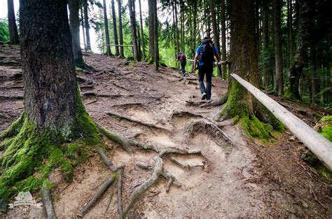 cascada duruitoarea cascada duruitoarea din comuna ceahlau judetul