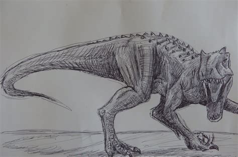 rex drawing dinosaur drawing dinosaur illustration animal