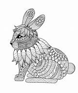 Zentangle Konijn Stress Mandalas Easter Stockillustratie Kleurplaat Zeichnung Kaninchen Bordar Conejo Zingen Stockillustration Pngitem sketch template