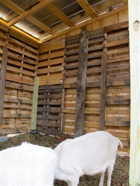 goat barn  pallets  owner builder